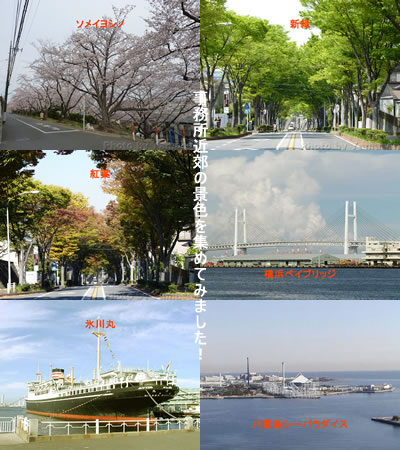 地元横浜の風景を集めてみました。